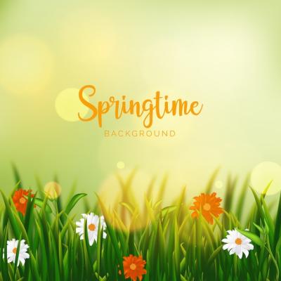 Realistic Spring Background – Free to Download Stock Photo