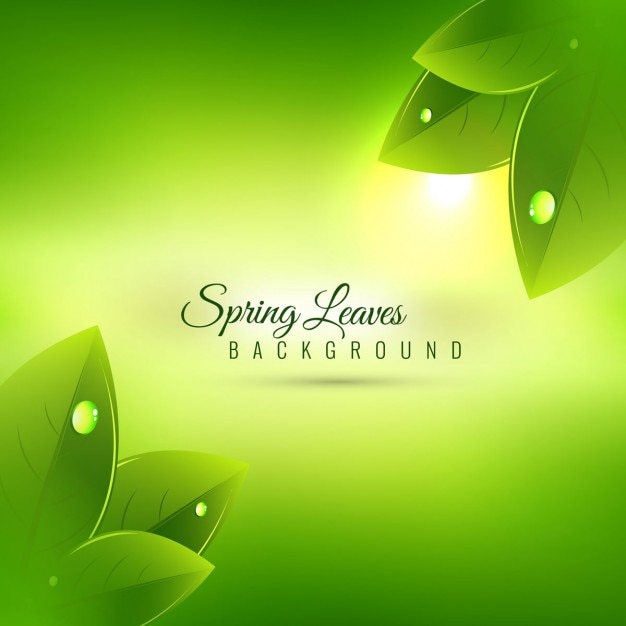 Beautiful Spring Season Background – Free Stock Photo for Download