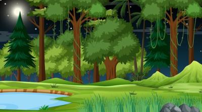 Stunning Forest Nature Scene Featuring a Tranquil Pond at Night – Free Download