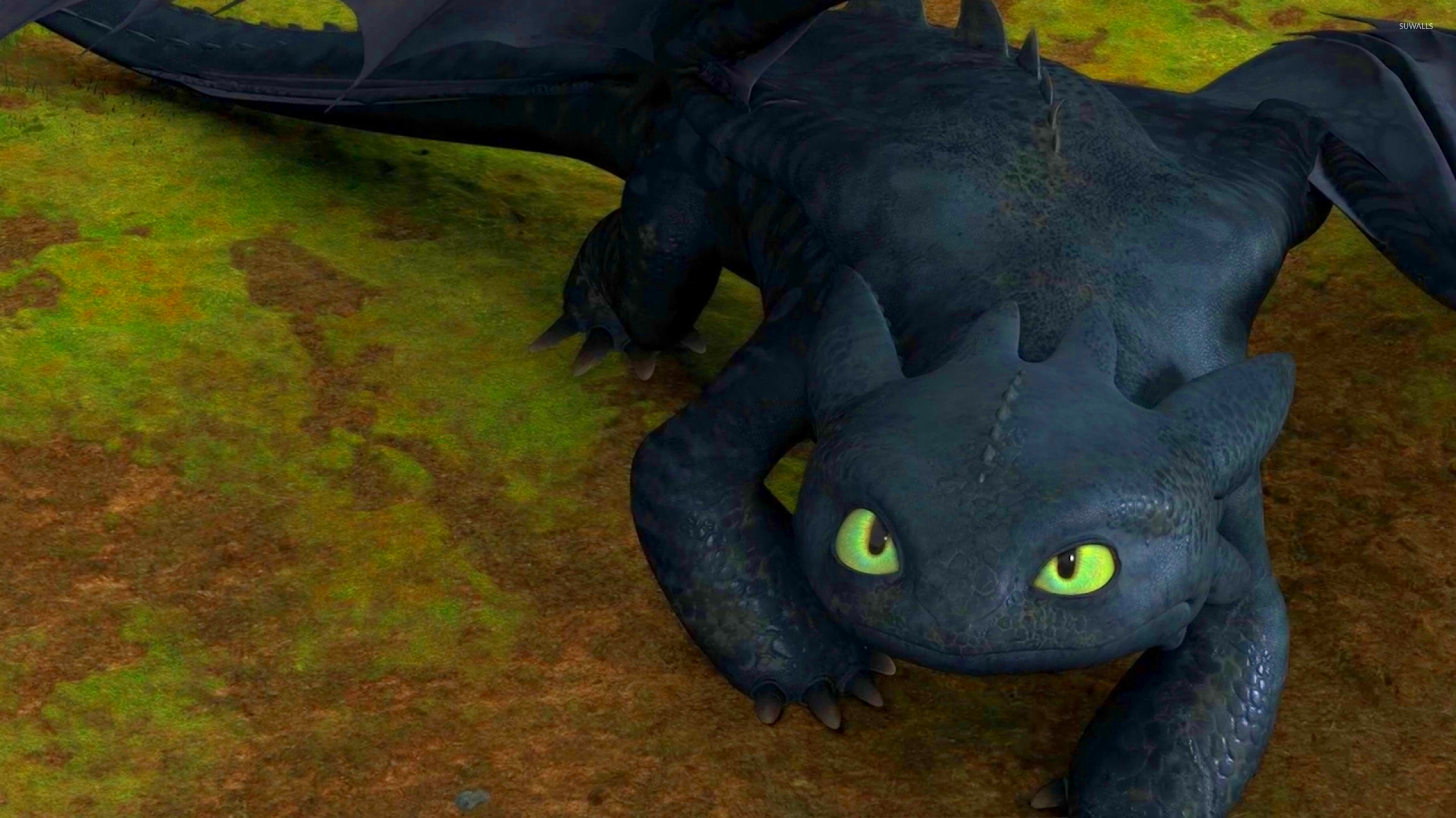 Toothless in How to Train Your Dragon wallpaper  Cartoon wallpapers 