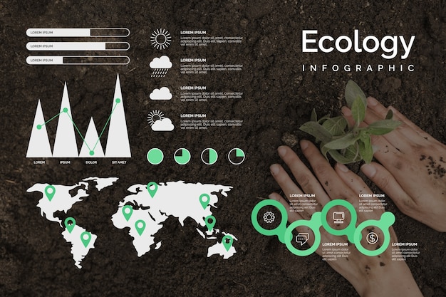 Ecology Infographic Collection – Free Stock Photos for Download