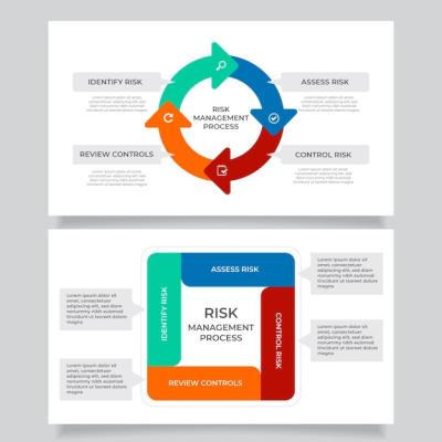 Risk Management Infographic: Download Free Stock Photo