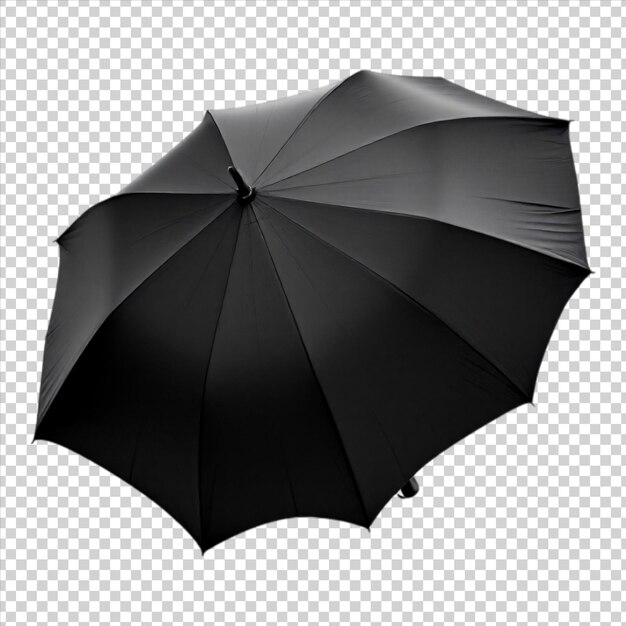 Black Umbrella with Sleek Design and Curved Handle – Free Stock Photo for Download