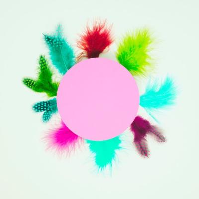 Pink Round Frame Decorated with Colorful Feathers Against White Background – Free Download