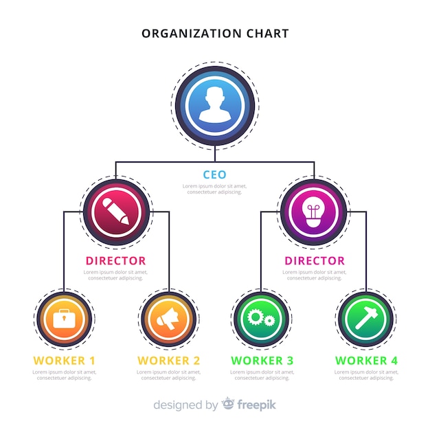 Organization Chart Vector Template – Download Free Stock Photo