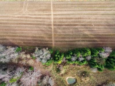 High Angle View of a Drying Field Due to Weather Changes – Free Download