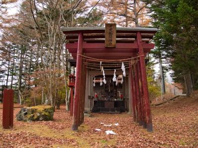 Shinto Shrine: Free Download for Stunning Free Stock Photos