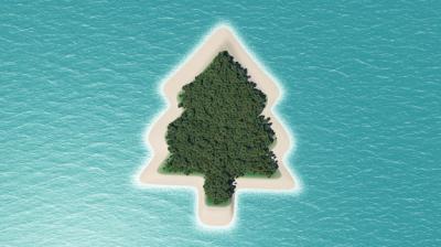 Pine Island – Free Stock Photo, Download for Free