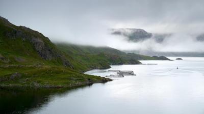 Foggy Seashore with Salmon Farms in Northern Norway Near Nordkap – Free Stock Photo, Download Free