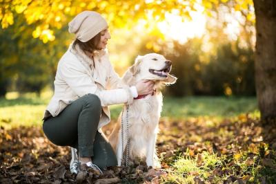 Girl with Dog – Free Stock Photo, Download for Free