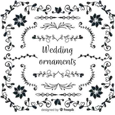 Hand Drawn Wedding Ornament Collection – Free Stock Photos for Download