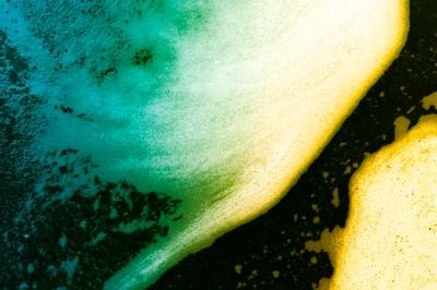 Foam on Colorful Gradient Liquid – Free Stock Photo for Download