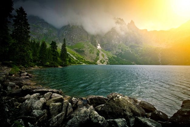 Scenic Lake in the Mountains – Free Download