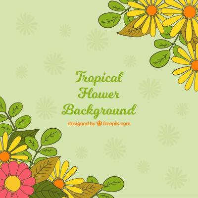 Hand Drawn Tropical Flower Background – Free Stock Photo for Download