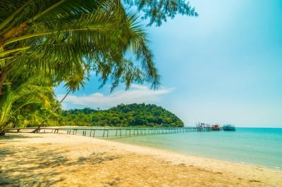 Beautiful Tropical Beach and Sea with Coconut Palm Tree in Paradise Island – Free to Download