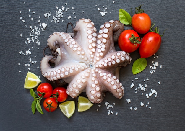 Top View of Raw Octopus with Lime, Tomatoes, and Basil – Free Download