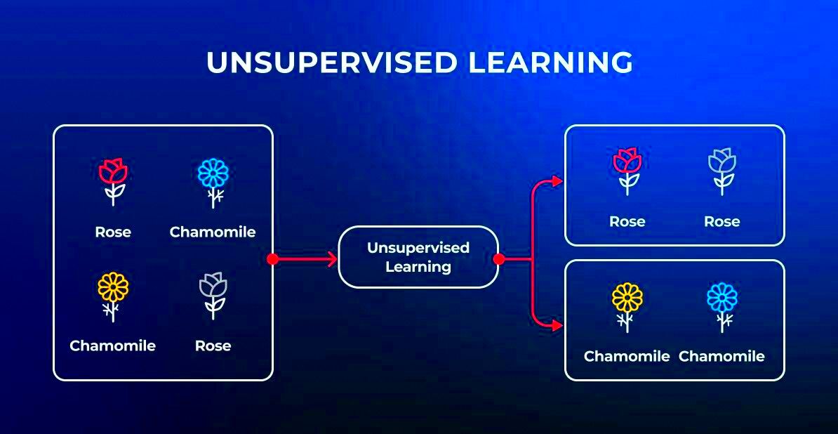 How to Make and Train Image Recognition Model  Altamira