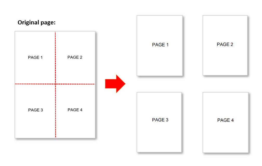 Printing Large Images on Multiple Pages in Procreate  Homeostasis Lab