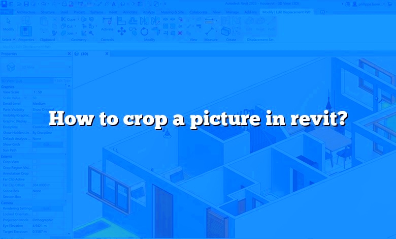 How to crop a picture in revit