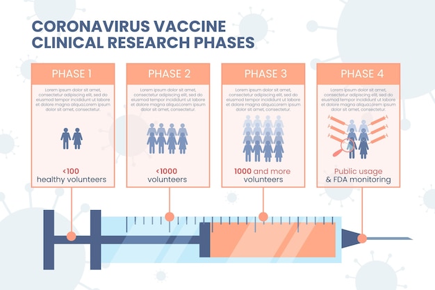 Flat Coronavirus Vaccine Phases Infographic – Free Download