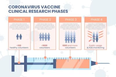 Flat Coronavirus Vaccine Phases Infographic – Free Download