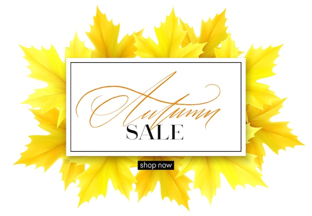 Autumn Banner Featuring Lettering and Yellow Maple Leaves – Free Download