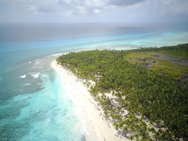 Turquoise Waters and Golden Beaches in the Dominican Republic – Free Stock Photo for Download