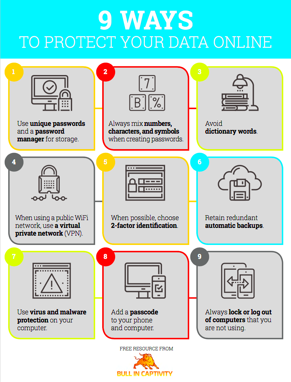 9 Ways To Protect Your Data Online  Bull in Captivity