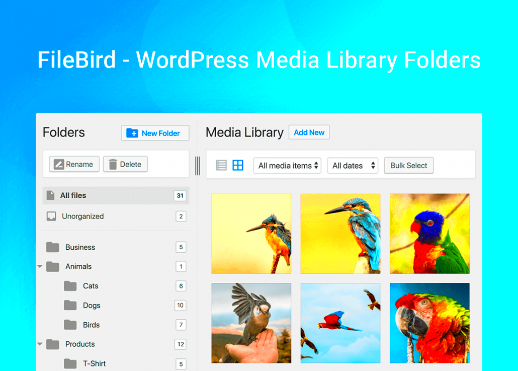 How to organize your WordPress Media Library in 2019