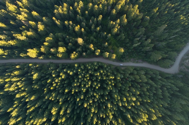 Aerial View of a Vibrant Autumn Forest Road – Free Download