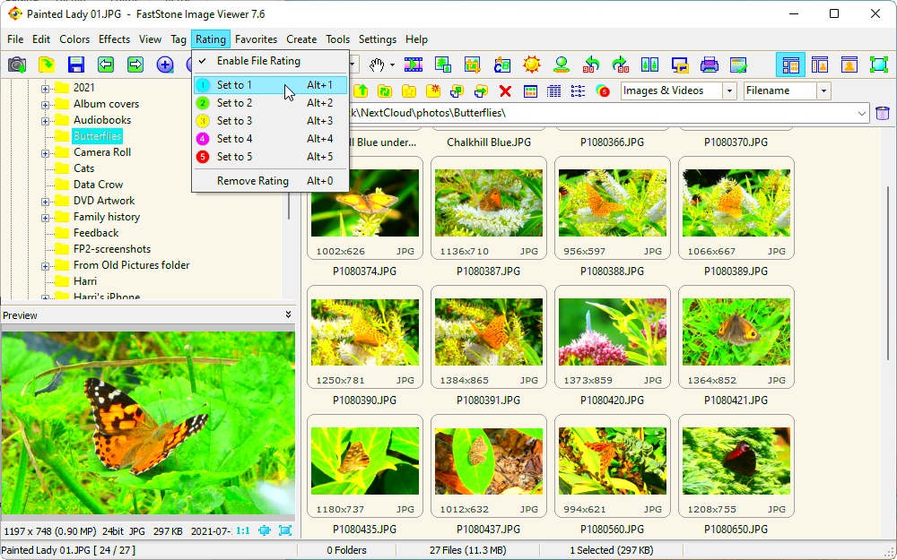 Download FastStone Image Viewer 76 for PC  Windows