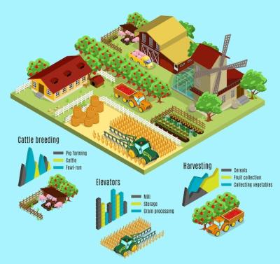 Isometric Farm Infographic Concept – Free Download