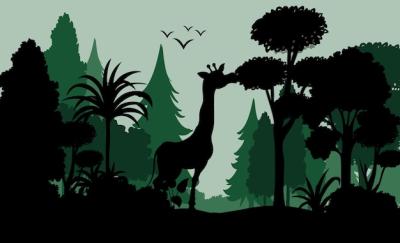 Silhouette Shadow of Forest Scene – Free Download