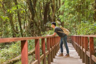 Hiker on Bridge – Free Stock Photo for Download