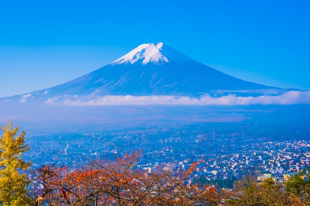 Stunning Mountain Fuji Surrounded by Autumn Maple Leaves – Free Download