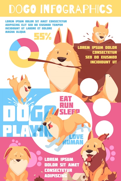 Puppy Behavior Infographics with Charts – Free Download