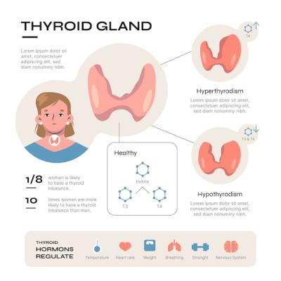 Hand Drawn Flat Design Thyroid Infographic – Free Download