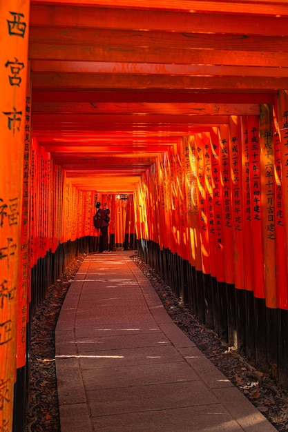 Thousand Torii Gates at Fushimi Inari Shrine – Free Download