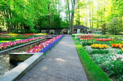 Beautiful Formal Spring Garden – Free Download