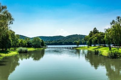 Old Bridge in Chinese Park – Free Download Free Stock Photo