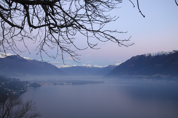 Closeup of Branches Against a Hazy Scene in the Alps – Free Download