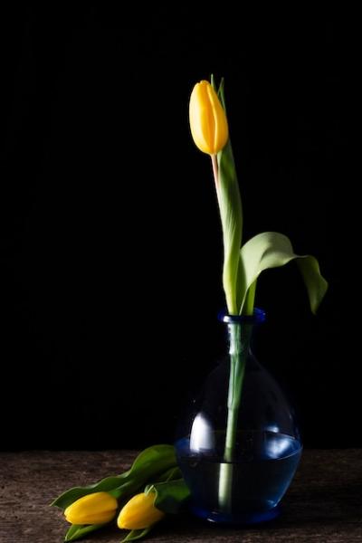 Yellow Tulip in a Vase: Stunning Floral Arrangement – Free Download