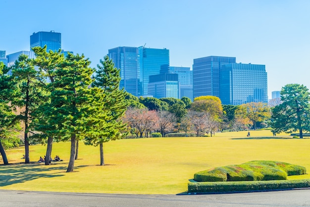 Tokyo Cityscape Skyline – Free Download, Download Free Stock Photo