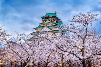 Cherry Blossoms and Osaka Castle – Free Stock Photo for Download