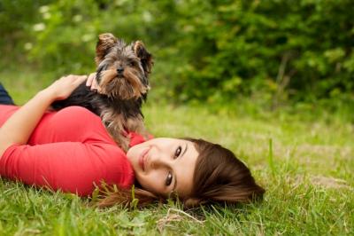 Puppy Love: Captivating Free Stock Photos to Download for Free