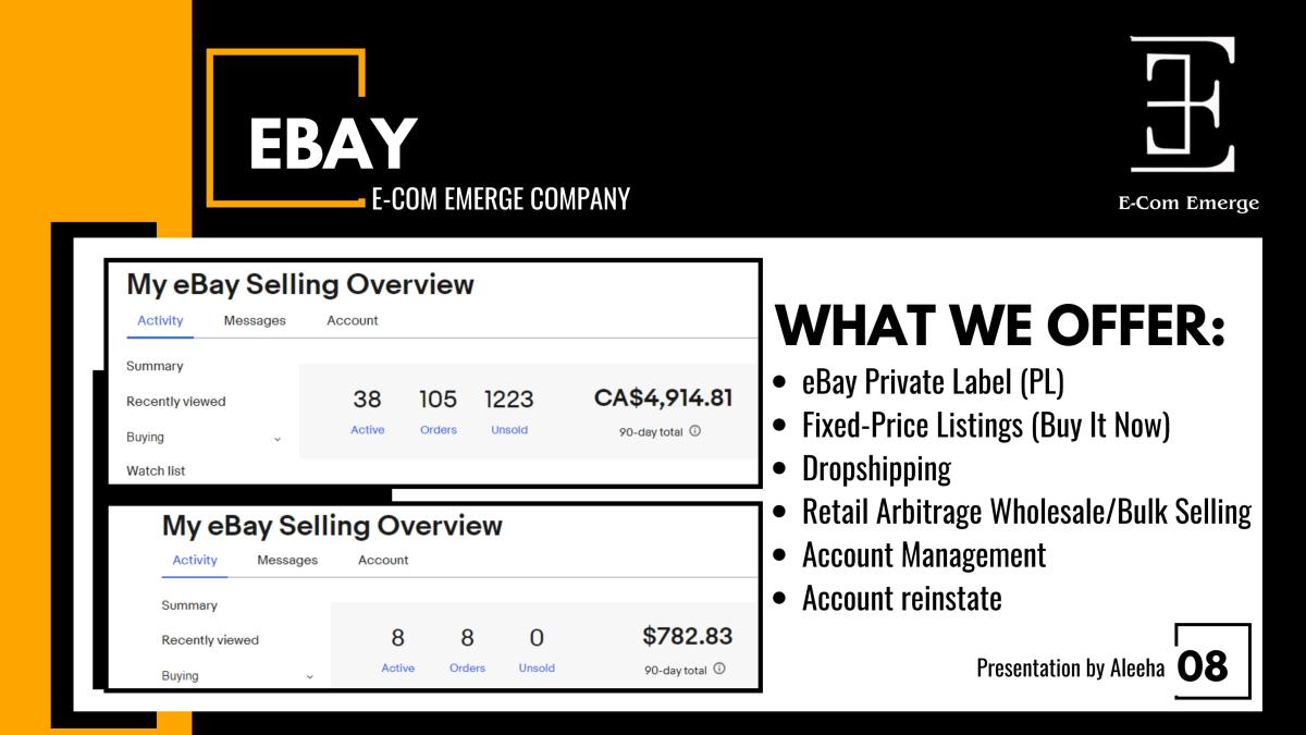 Professionally Manage Your eBay Account for Sales Growth