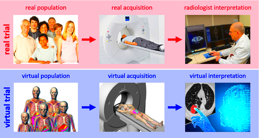 Virtual imaging trials Shaping the future of medicine and medical imaging