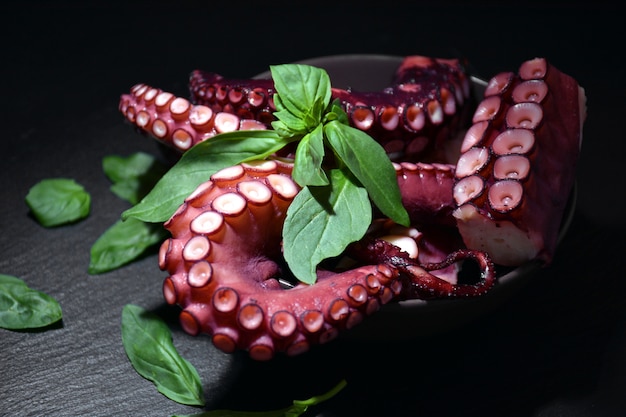 Octopus Dish with Basil Leaves – Free Stock Photo for Download