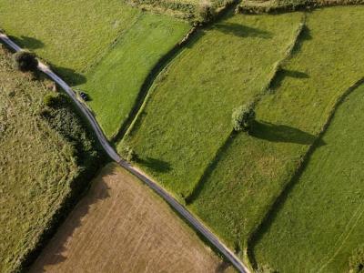 Peaceful Green Land – Free Download Stock Photos