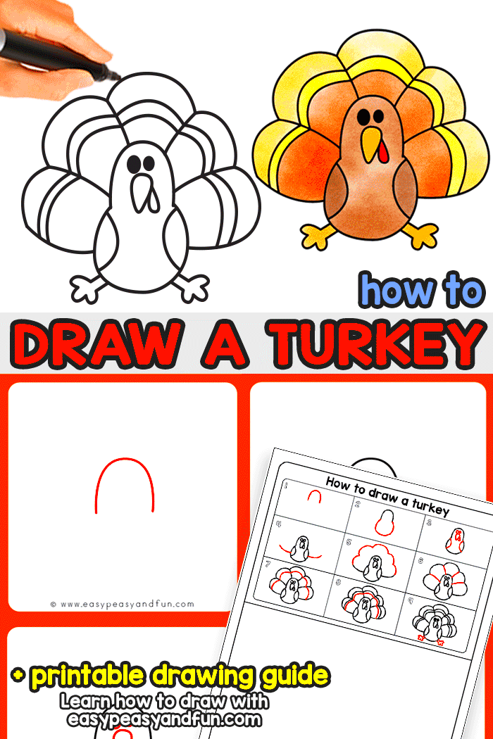 How To Draw A Turkey Step By Step For Kids